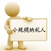 在成都，小規模納稅人注冊企業(yè)后，如何報稅登記？ 