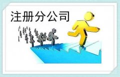 成都分公司注冊需要什么材料？ 