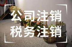 公司注銷(xiāo)要注意什么問(wèn)題？公司注銷(xiāo)要花多少錢(qián)？ 