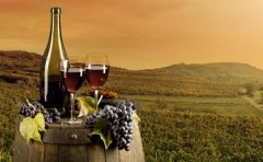 錦江區農業(yè)公司注冊資金多少合適?成都農業(yè)開(kāi)發(fā)公司注冊條件? 